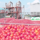 SUS316 50Hz Tomato Paste Production Line Energy Saving Type