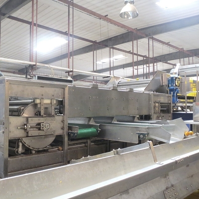 Automatic Mango Washing Waxing Grading Machine For Fruit Processing
