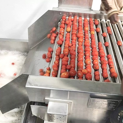 Aseptic Concentrated Tomato Sauce Machine With Large Bag